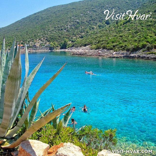 Hvar Apartments 8 Min To The Beach フヴァル エクステリア 写真