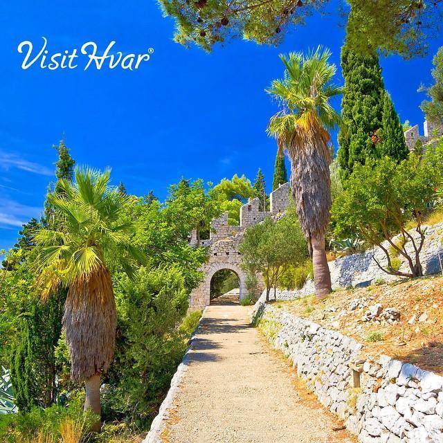 Hvar Apartments 8 Min To The Beach フヴァル エクステリア 写真